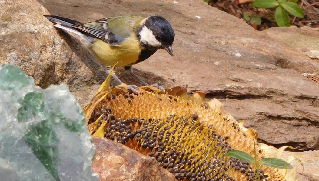 zahradn&iacute; umyvadlo na z&iacute;dce