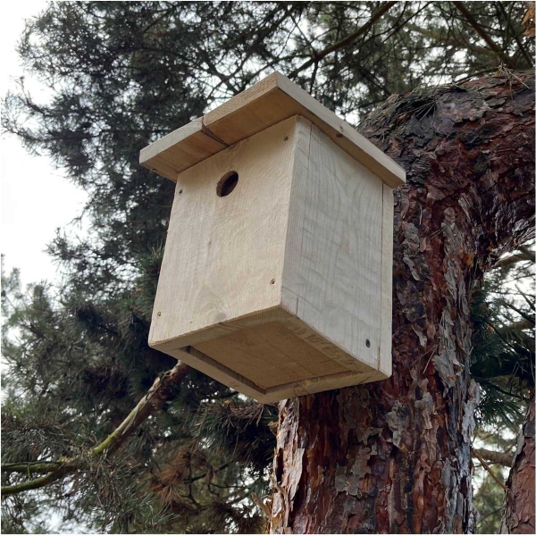 Budka pro vrabce z přírodního dřeva 34 mm - bez nátěru