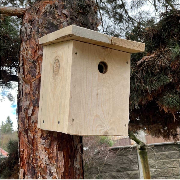 Budka pro vrabce z přírodního dřeva 34 mm - bez nátěru