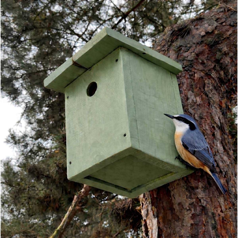 Ptačí budka pro brhlíka