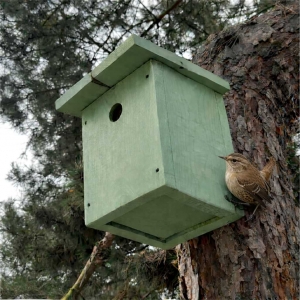 Ptačí budka pro střízlíka 32 mm