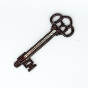 Venkovní teploměr na zeď 19 cm